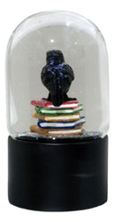 Day Of The Dead Edgar Allan Poe Raven Bibliography Glitter Water Globe Figurine