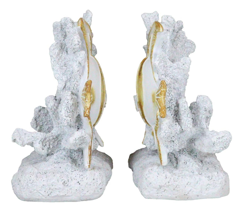 Nautical Sea Coastal Marine Angelfish Fishes Swimming By Corals Bookends Pair