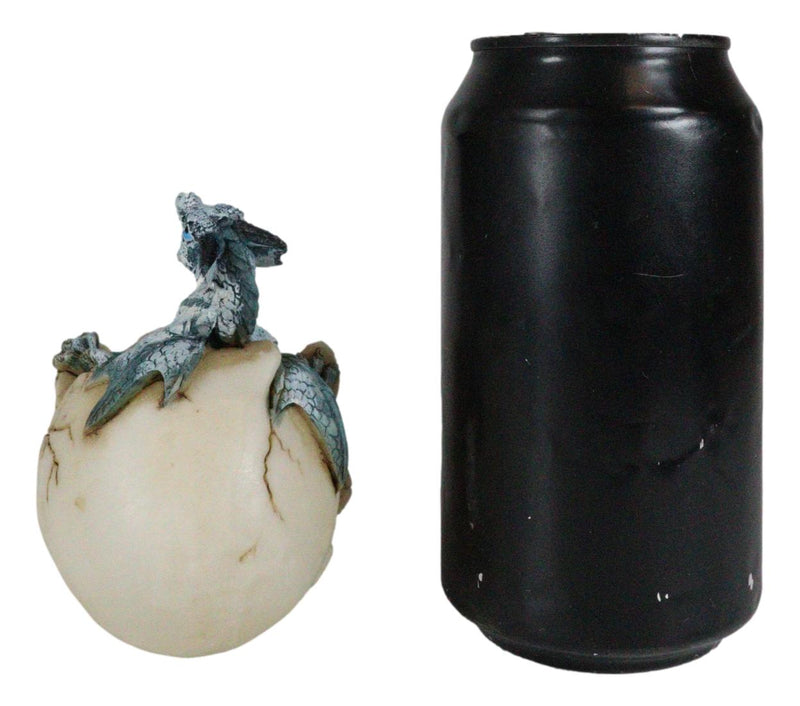 Cold Bifrost Dragon Hatchling Breaking Out Of Egg Shell Figurine Myth & Legends