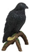 Ebros Gift Gothic Raven Crow Perching On Tree Branch Scavenger Bird Figurine 5.75" High