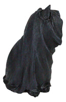 Black Cat With Zealot Sorcerer Cloak And Necromancer Skull Necklace Figurine