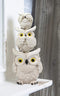 Ebros Stacked See Hear Speak No Evil Wise Fat Owls Figurine 7.5" Height (Cream)