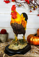 Ebros Proud Country Chicken Rooster Statue with Base 7.5" Tall Resin Sculpture in Vivid Colors