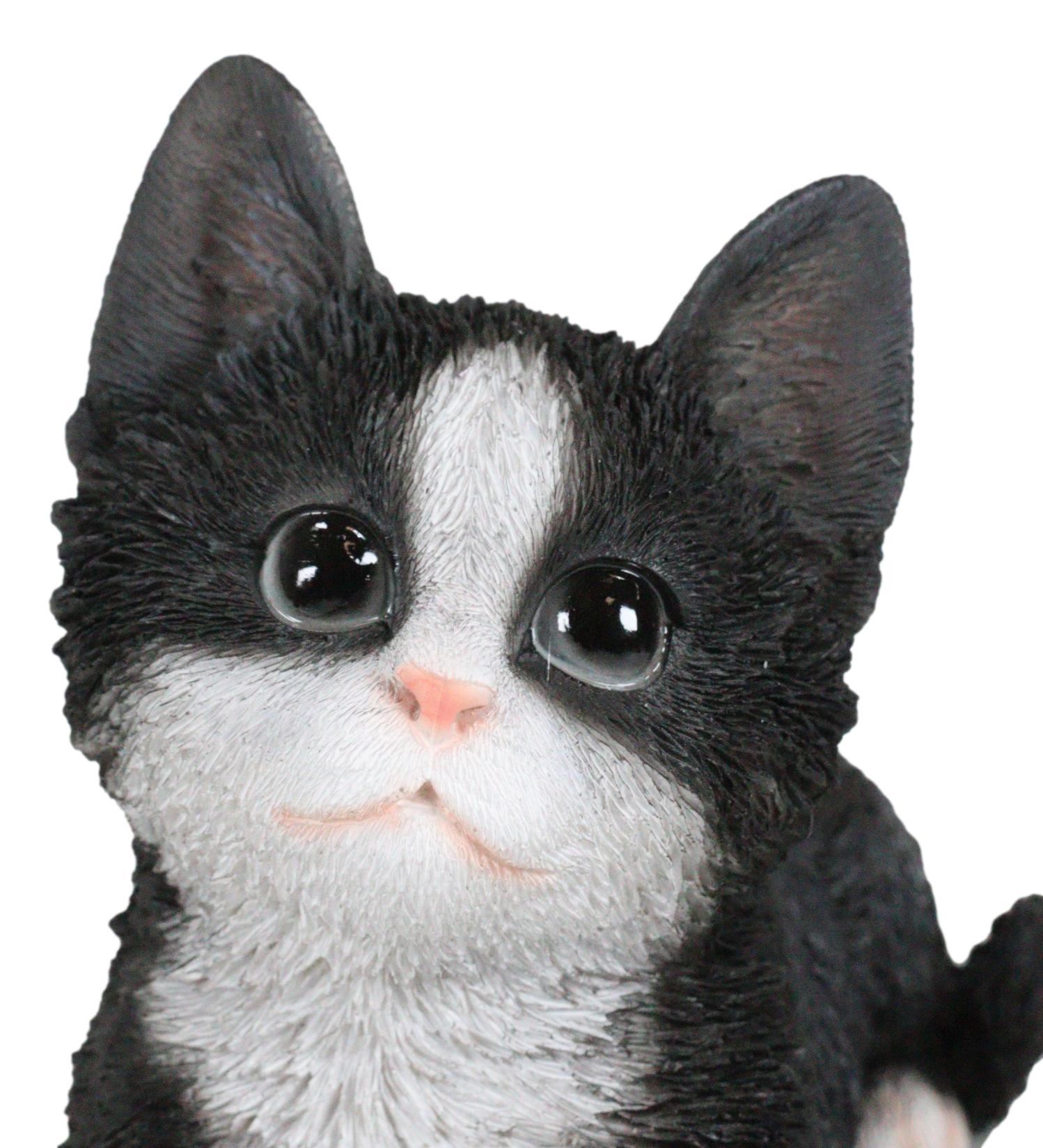 Lifelike Tuxedo Black And White Feline Kitten Cat Sitting On Its Belly