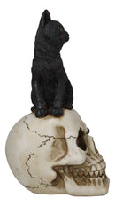 Witching Hour Black Feline Mystical Cat Sitting On Skull Wicca Macabre Figurine