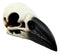 Edgar Poe Gothic Raven Skull Statue 7"Long Crow Scavenger Bird Ossuary Figurine