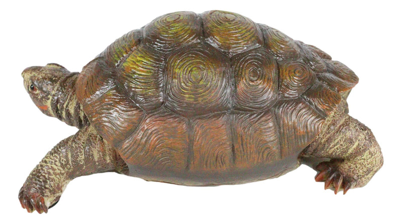 Auspicious Fortune Charm Lifelike Green Brown Turtle Tortoise Small Figurine