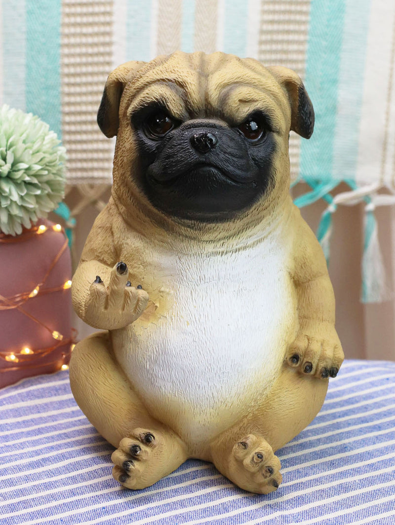 Feisty pets hot sale pug