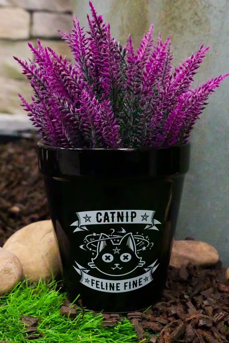 Catnip Feline Fine Pentagram Black Cat Wicca Witch Flower Herbs Planter Pot