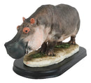 African River Common Hippopotamus Statue On Black Gallery Base 11"L Hippo Decor