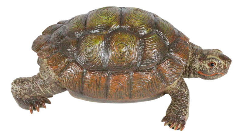 Auspicious Fortune Charm Lifelike Green Brown Turtle Tortoise Small Figurine