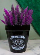 Catnip Feline Fine Pentagram Black Cat Wicca Witch Flower Herbs Planter Pot