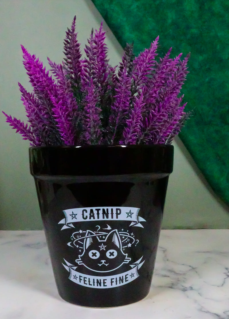 Catnip Feline Fine Pentagram Black Cat Wicca Witch Flower Herbs Planter Pot