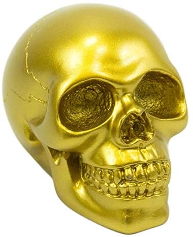 Ebros Pirate's Loot Graveyard Human Skull Head Statue 3.75"L (Metallic Gold)