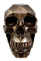 Ebros Geometric Matrix Polygon Bronze Patina Resin Skull Decor Figurine 8.5"L