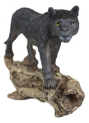 Ebros Animal Jungle Black Panther Prowling On Distressed Tree Log Figurine 8"L