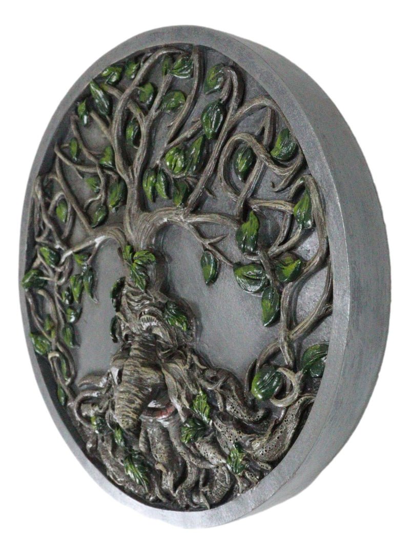 Celtic Tree Man Greenman Tree Of Life Round Wall Decor Plaque Medallion Figurine