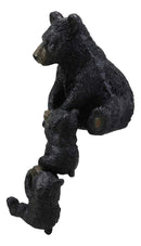 Ebros Whimsical Rustic Forest Black Mama Bear Pulling 2 Cubs Shelf Sitter Statue 11.75" High Woodland Cabin Lodge Decor Bears Figurine for Mantelpiece Fireplace Shelves Tables Decorative Home Accent