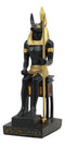 Ancient Egyptian God Anubis Sitting On Throne Statue Deity Lord of The Afterlife