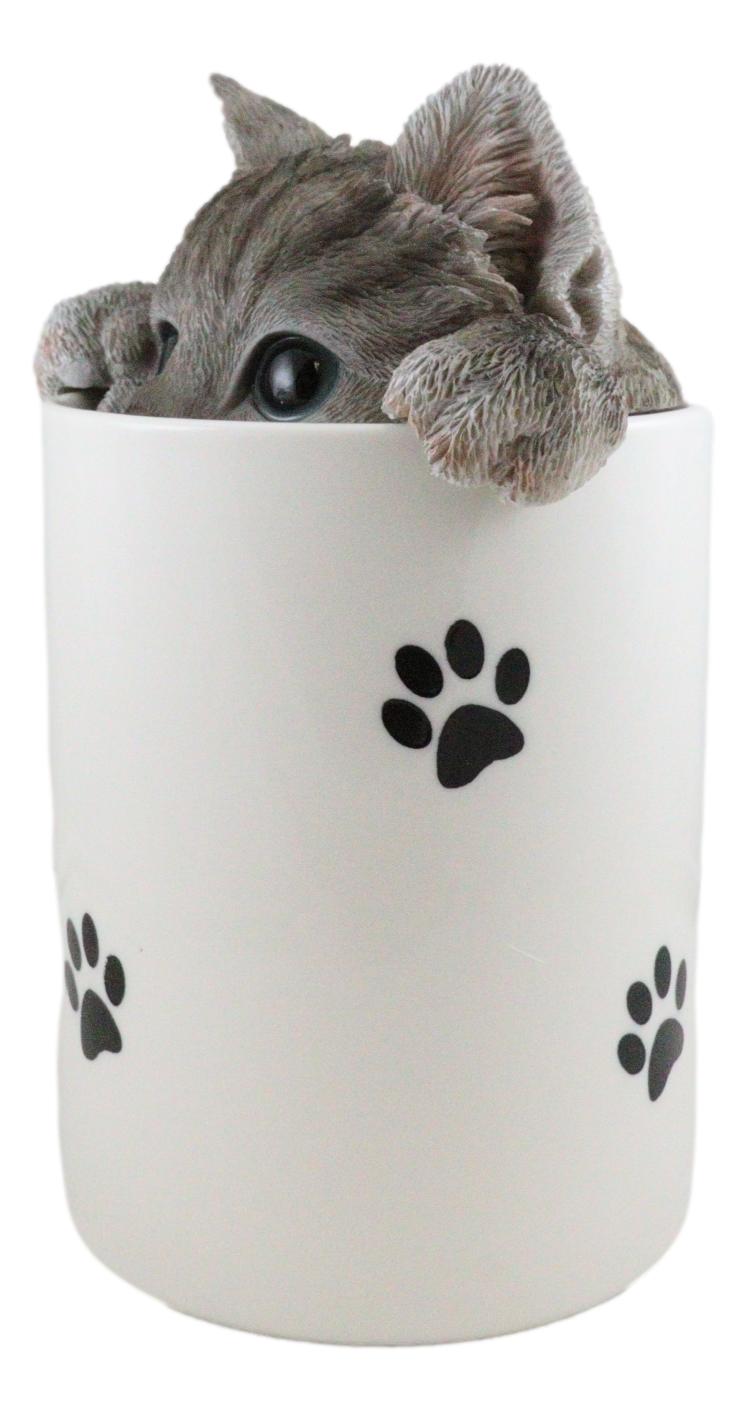 Ceramic Gray Tabby Cat Hiding and Peeking Dry Storage Jar With Paw Prints Decor