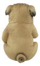 Ebros Feisty Pooch Rude Fat Pug Puppy Dog Flipping The Bird Figurine Guest Greeter