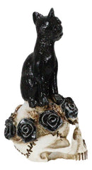 Wicca Magic Black Mystical Cat Sitting On Skull With Poison Roses Mini Figurine