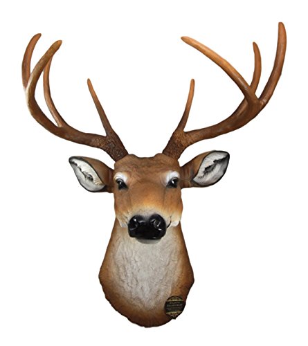 Ebros 8 Point Buck Deer Bust Champion Wall Mount Sculpture Plaque Figurine 21"H