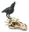 Ghost Scavenger Bird Raven Crow Resting On Dragon Skull Fossil Figurine