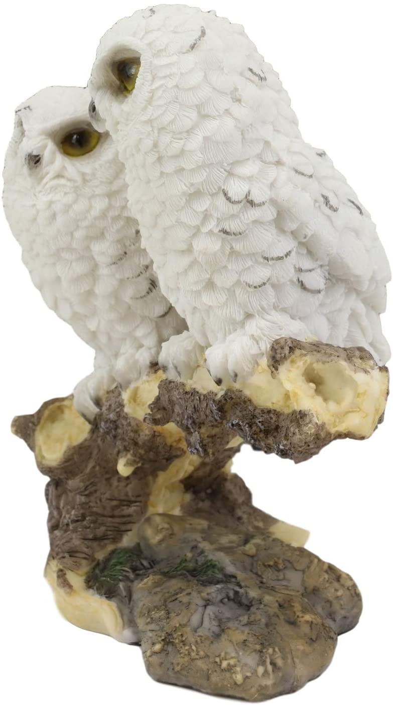 Ebros Night Spies Two White Baby Owls Perching On Tree Branch Statue 5.75" H