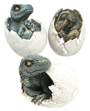 Jurassic Velociraptor And T-Rex Breaking Out Of Egg Dinosaur Figurine Set of 3