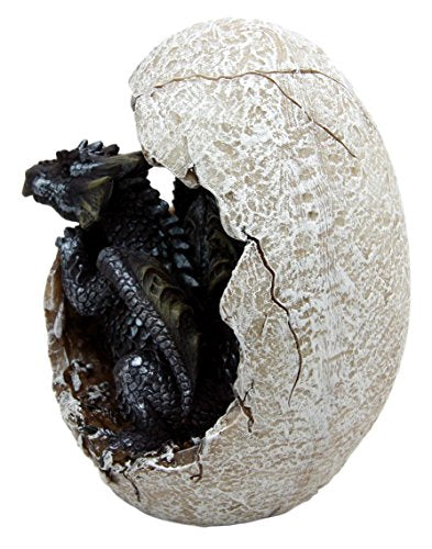 Fossil Twilight Onyx Dragon Hatchling Breaking Out Of Egg Shell Figurine