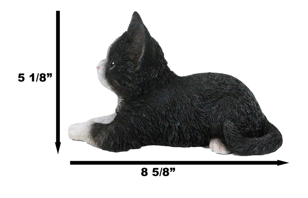 Lifelike Tuxedo Black And White Feline Kitten Cat Sitting On Its Belly