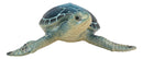 Ebros Nautical Blue Shell Sea Turtle Decorative Resin Statue in Glossy Finish