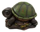 Ebros Gift Adorable Turtle Secret Stash Shell Decorative Jewelry Trinket Box Figurine 8.5" L