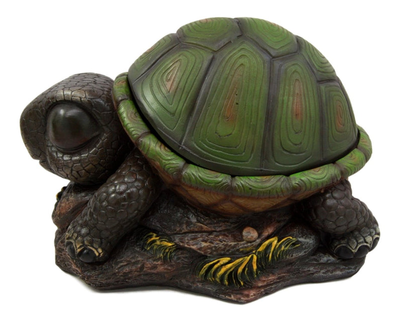 Ebros Gift Adorable Turtle Secret Stash Shell Decorative Jewelry Trinket Box Figurine 8.5" L