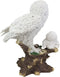 Ebros White Owl Perching On Tree Branch With Baby Owlets Statue 12"Tall