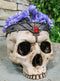 Medieval Gothic Skeleton King Skull With Bejeweled Crown Bowl Planter Figurine