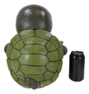 Large Baby Turtle Holding "Shello" Sign Statue 13"Tall Whimsical Welcome Greeter