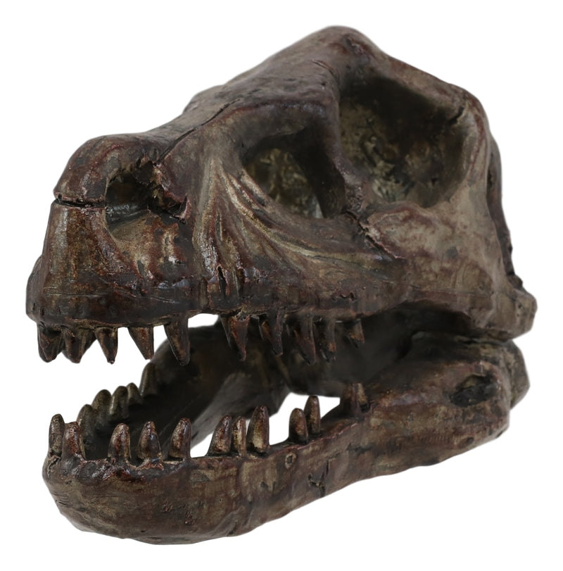 Faux Taxidermy Replica Velociraptor Dinosaur Head Fossil Small Skull Figurine