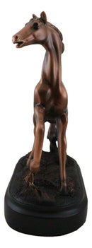 Rustic Western Country Equestrian Beauty Horse Bronzed Resin Figurine With Base