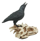 Ghost Scavenger Bird Raven Crow Resting On Dragon Skull Fossil Figurine