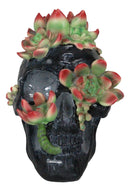 Day of The Dead Flora And Fauna Black Skull With Budding Succulents Figurine