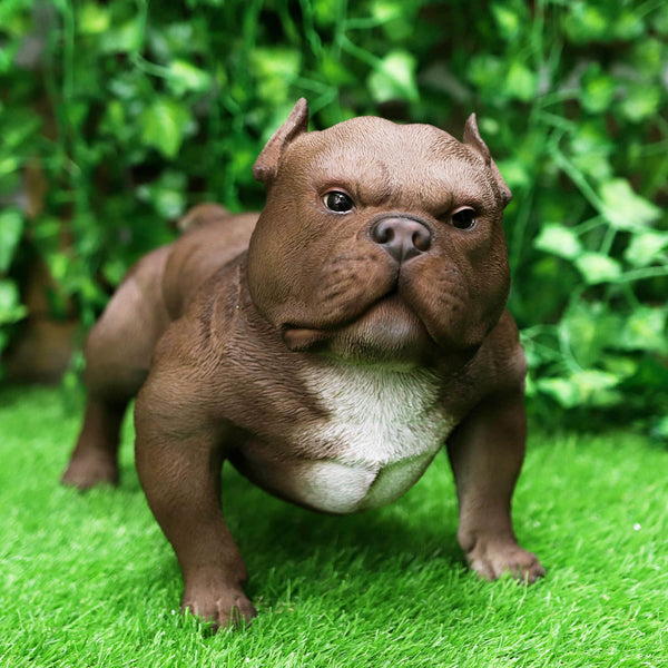 American bully figurine best sale