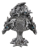 Ebros Dragon Trilogy Guarding Sleeping Wyrmling Decorative Jewelry Box Figurine