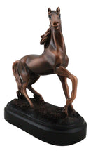 Rustic Western Country Equestrian Beauty Horse Bronzed Resin Figurine With Base