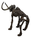 Ebros Prehistoric Elephant Jurassic Era Woolly Mammoth Fossil Skeleton 30"Long