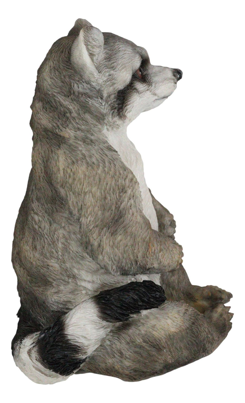 Whimsical Sitting Cheeky Raccoon With Big Belly Wild Animal Figurine 11"H