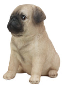 Ebros Lifelike Sitting Pug Dog Statue 6" Tall Pet Pal Figurine with Glass Eyes