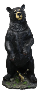 Large 31"H Western Rustic Forest Standing Black Bear Statue Cabin Lodge Accent