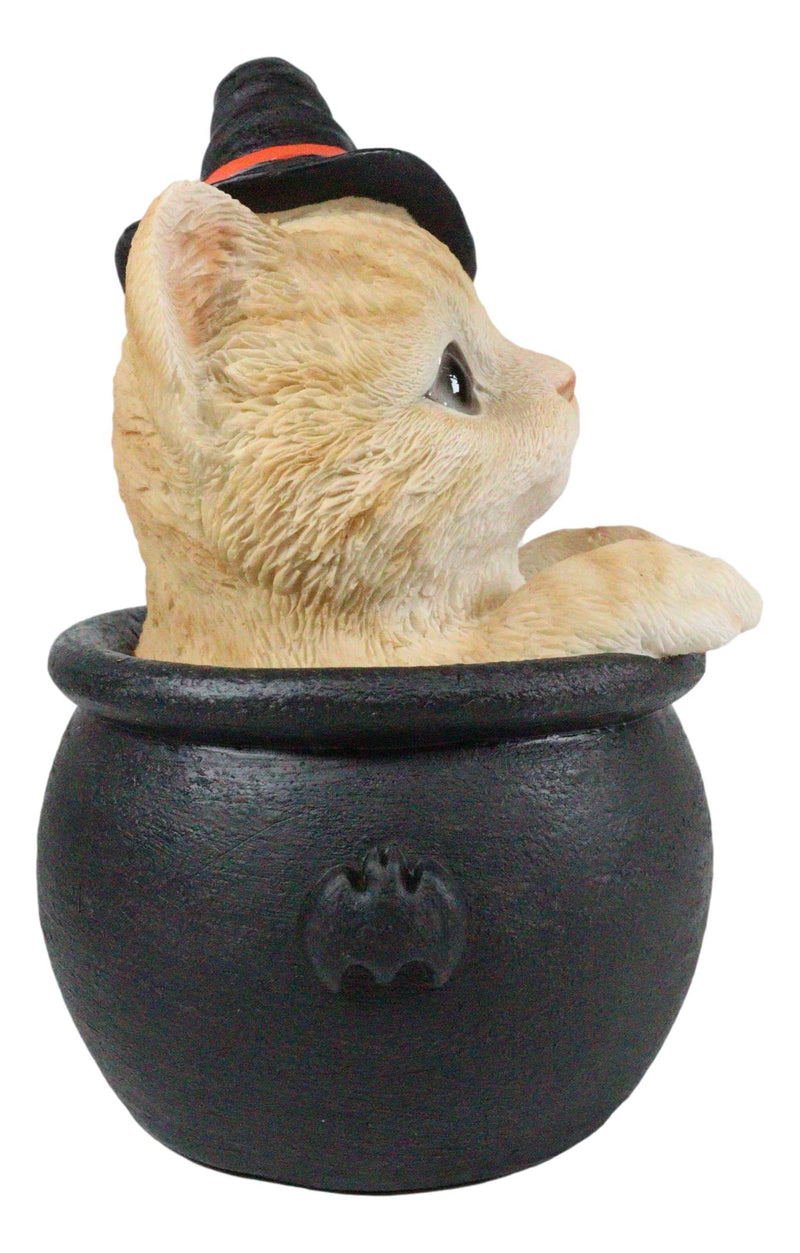 Ebros Witching Hour Halloween Tabby Cat With Witch Hat In Black Cauldron Statue